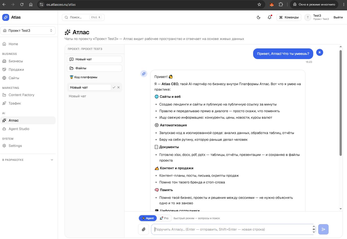 Чат с Атласом — ответ агента по рабочему пространству